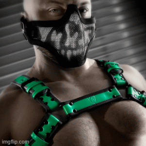 Rowdy Harness >>> 30% Off